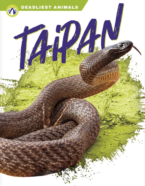 Deadliest Animals: Taipan, Paperback / softback Book