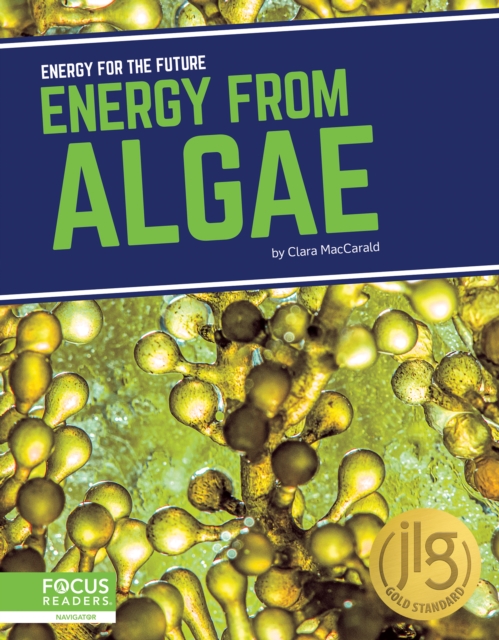Energy for the Future: Energy from Algae, Paperback / softback Book