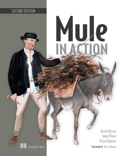 Mule in Action, EPUB eBook