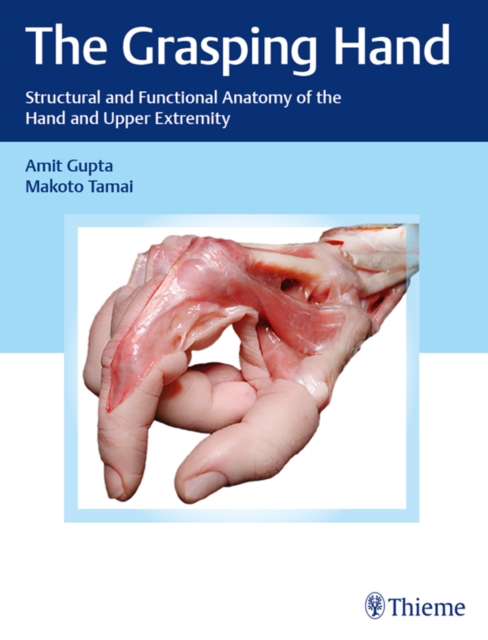 The Grasping Hand : Structural and Functional Anatomy of the Hand and Upper Extremity, EPUB eBook