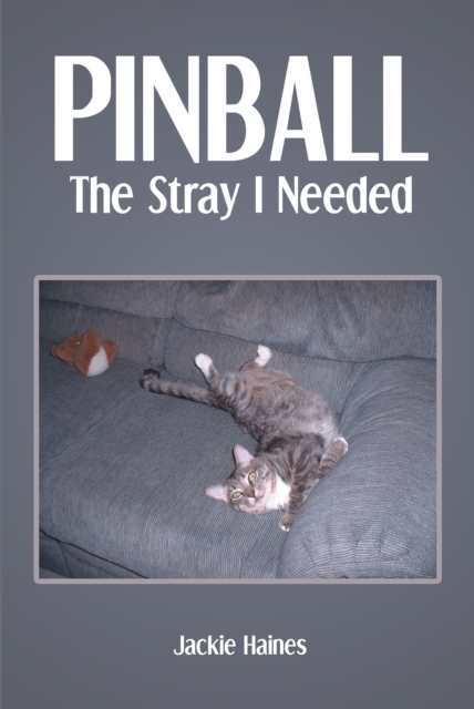 Pinball : The Stray I Needed, EPUB eBook