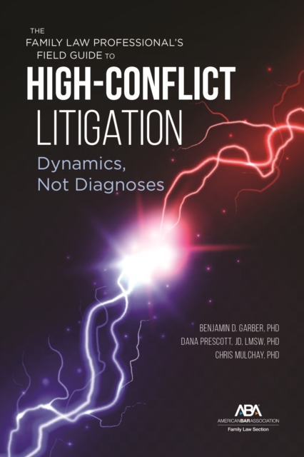 The Family Law Professional's Field Guide to High-Conflict Litigation : Dynamics, Not Diagnoses, EPUB eBook