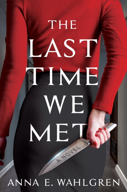 The Last Time We Met : A Novel, Hardback Book