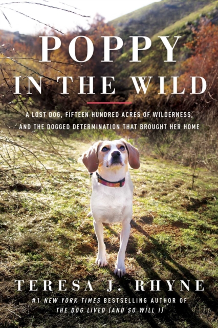 Poppy in the Wild : A Lost Dog, Fifteen Hundred Acres of Wilderness, and the Dogged Determination that Brought Her Home, Paperback / softback Book