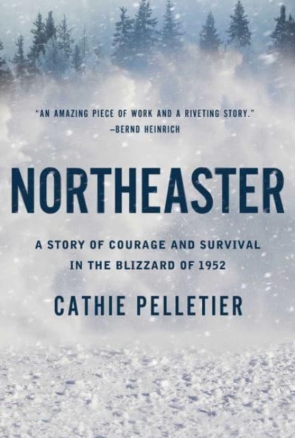 Northeaster : A Story of Courage and Survival in the Blizzard of 1952, Paperback / softback Book
