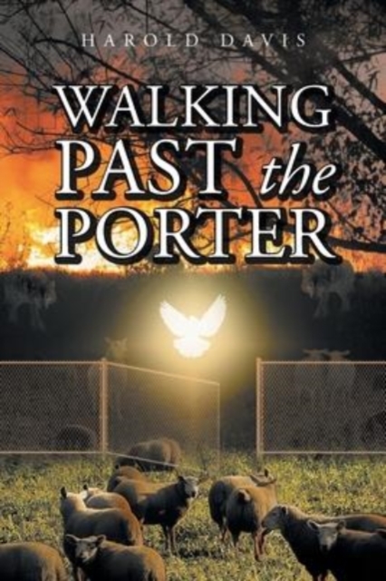 Walking Past the Porter, Paperback / softback Book
