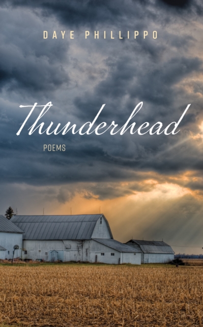 Thunderhead : Poems, EPUB eBook