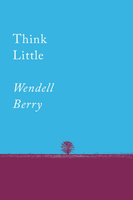 Think Little : Essays, Paperback / softback Book