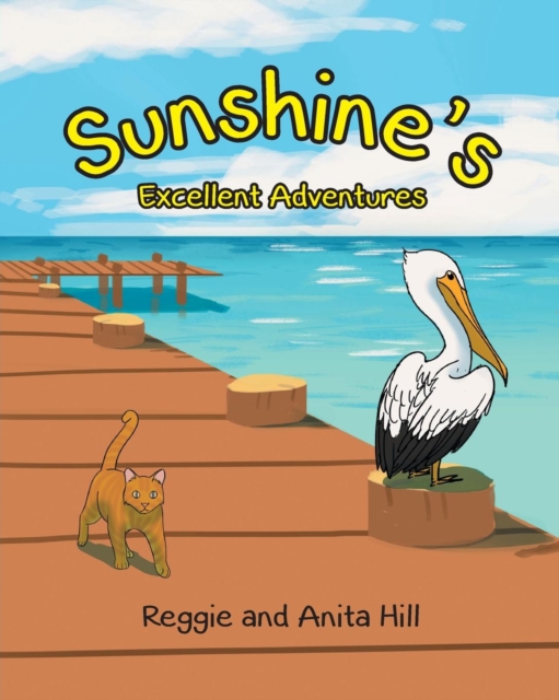 Sunshine's Excellent Adventures, Paperback / softback Book