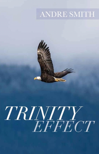 Trinity Effect, Paperback / softback Book