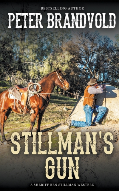 Stillman's Gun, Paperback / softback Book