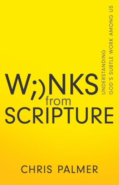 Winks from Scripture : Understanding God's Subtle Work Among Us, Paperback / softback Book