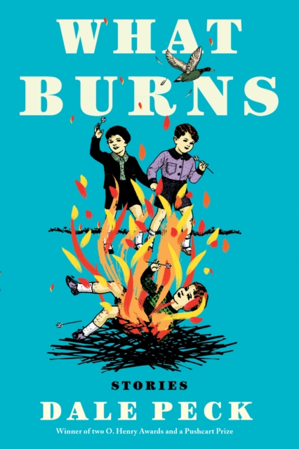 What Burns, EPUB eBook