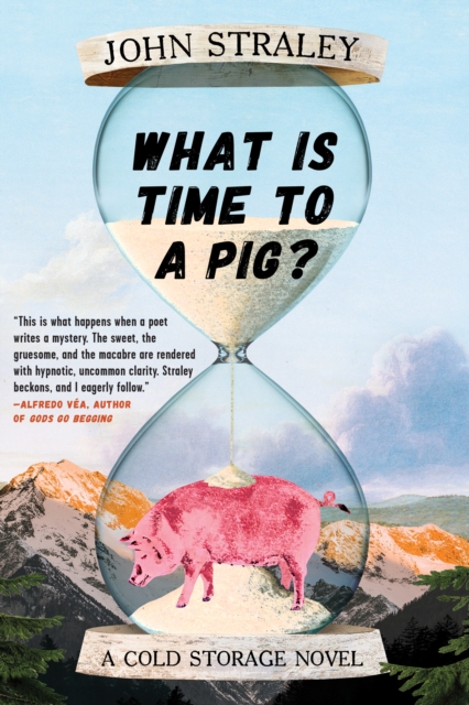 What Is Time to a Pig?, EPUB eBook