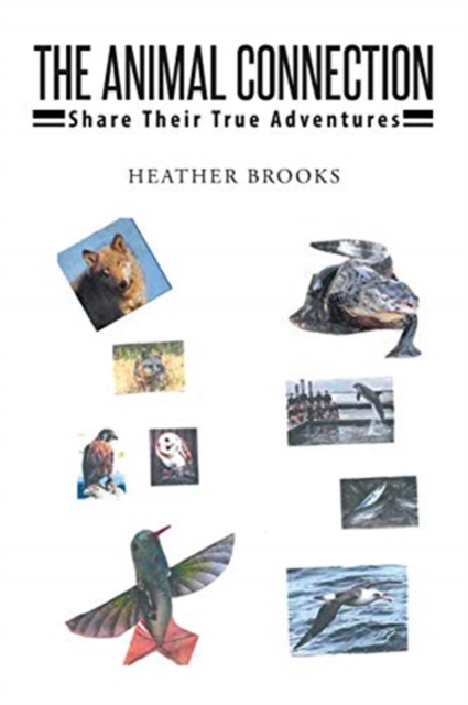 Animal Connection : Share Their True Adventures, Paperback / softback Book