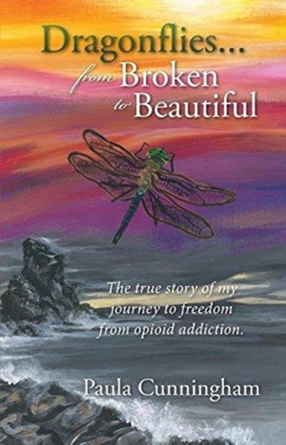 Dragonflies...from Broken to Beautiful, Paperback / softback Book