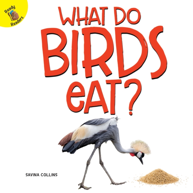 What Do Birds Eat?, PDF eBook