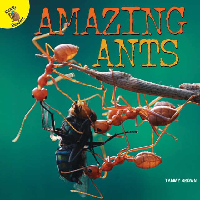 Amazing Ants, PDF eBook