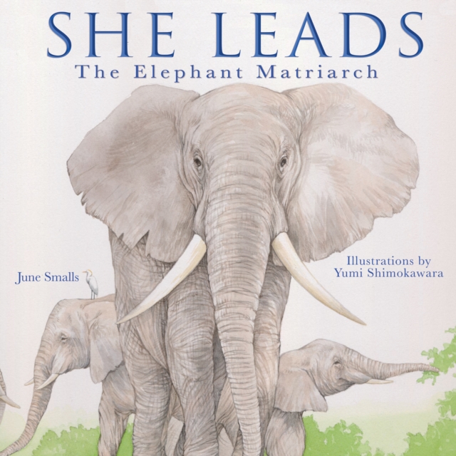 She Leads : The Elephant Matriarch, Hardback Book
