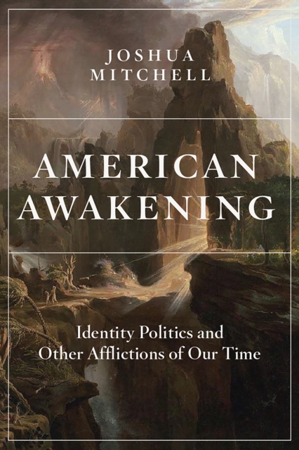 American Awakening : Identity Politics and Other Afflictions of Our Time, Hardback Book