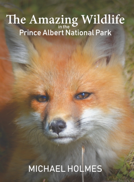 The Amazing Wildlife in the Prince Albert National Park, Hardback Book