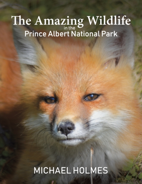 The Amazing Wildlife in the Prince Albert National Park, Paperback / softback Book