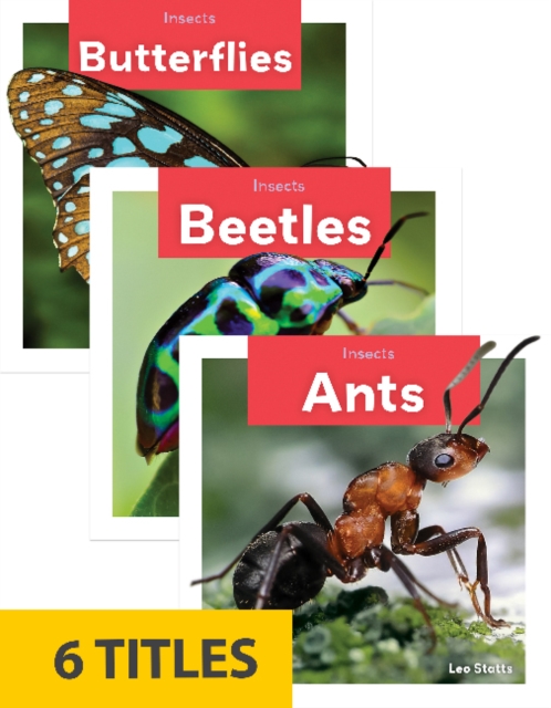 Insects (Set of 6), Paperback / softback Book