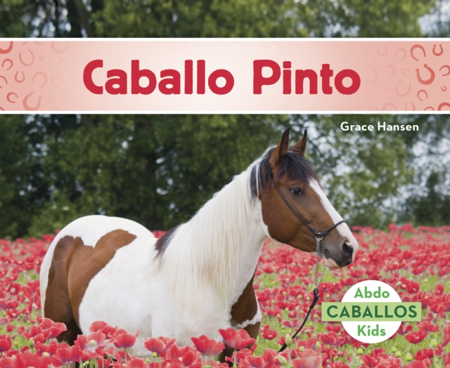 Caballo Pinto (American Paint Horses), Paperback / softback Book