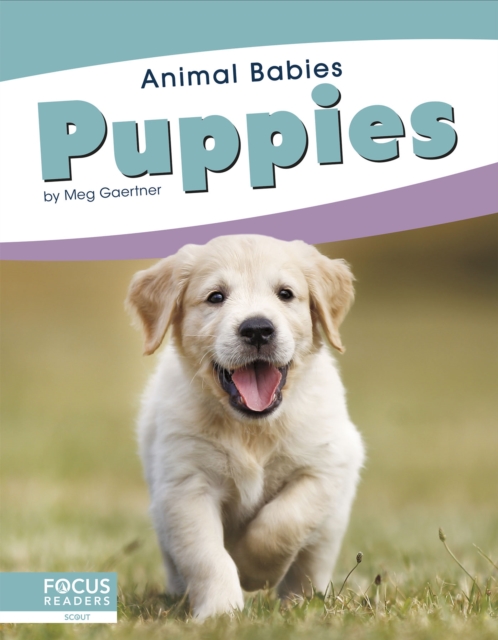 Animal Babies: Puppies, Hardback Book
