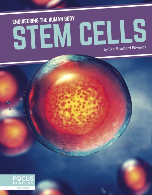 Engineering the Human Body: Stem Cells, Hardback Book