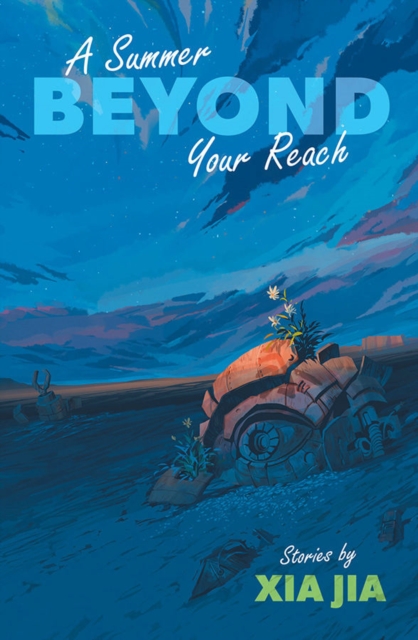 A Summer Beyond Your Reach, Paperback / softback Book