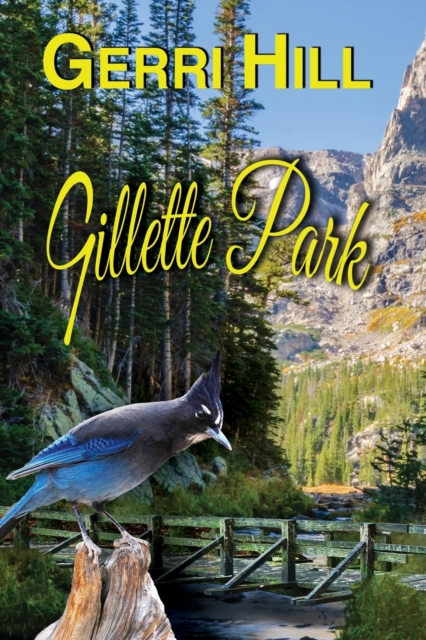 Gillette Park, Paperback / softback Book