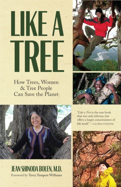 Like a Tree : How Trees, Women, and Tree People Can Save the Planet (Ecofeminism, Environmental Activism), Paperback / softback Book
