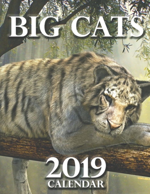 Big Cats 2019 Calendar (UK Edition), Paperback / softback Book