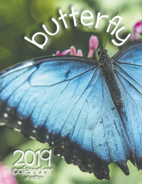 Butterfly 2019 Calendar (UK Edition), Paperback / softback Book