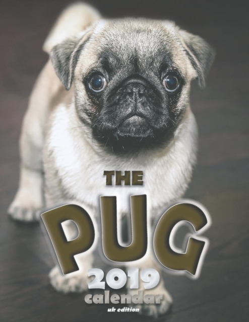 The Pug 2019 Calendar (UK Edition), Paperback / softback Book