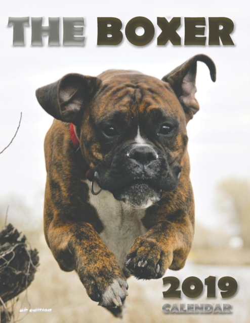 The Boxer 2019 Calendar (UK Edition), Paperback / softback Book