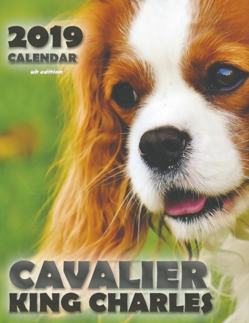 Cavalier King Charles 2019 Calendar (UK Edition), Paperback / softback Book