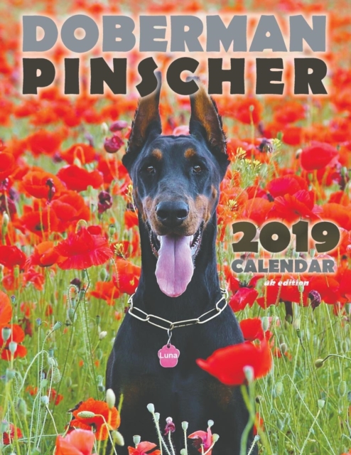 Doberman Pinscher 2019 Calendar (UK Edition), Paperback / softback Book