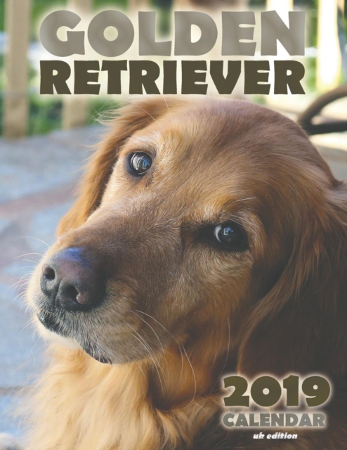 Golden Retriever 2019 Calendar (UK Edition), Paperback / softback Book