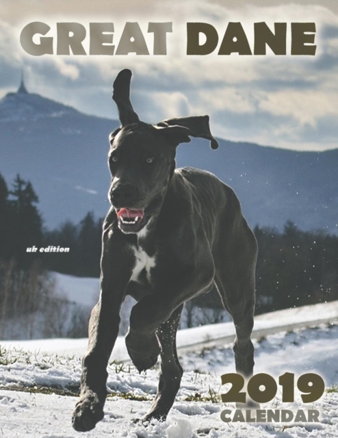 Great Dane 2019 Calendar (UK Edition), Paperback / softback Book