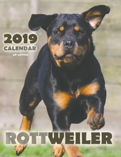 Rottweiler 2019 Calendar (UK Edition), Paperback / softback Book