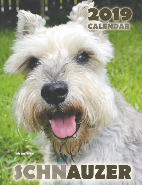 Schnauzer 2019 Calendar (UK Edition), Paperback / softback Book