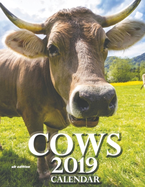 Cows 2019 Calendar (UK Edition), Paperback / softback Book