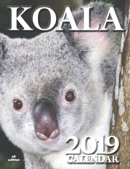Koala 2019 Calendar (UK Edition), Paperback / softback Book