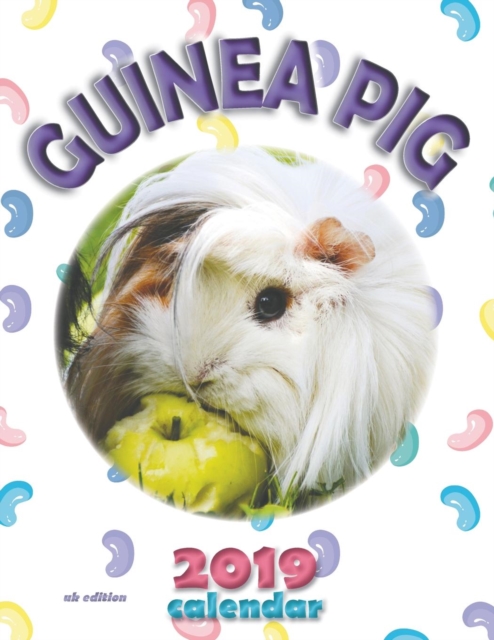 Guinea Pig 2019 Calendar (UK Edition), Paperback / softback Book