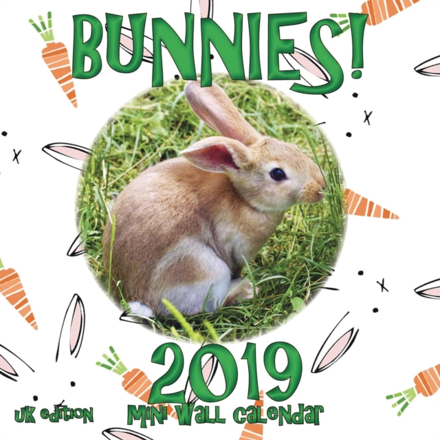 Bunnies! 2019 Mini Wall Calendar (UK Edition), Paperback / softback Book