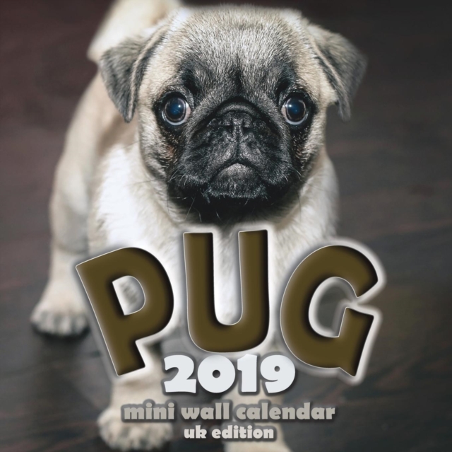 The Pug 2019 Mini Wall Calendar (UK Edition), Paperback / softback Book