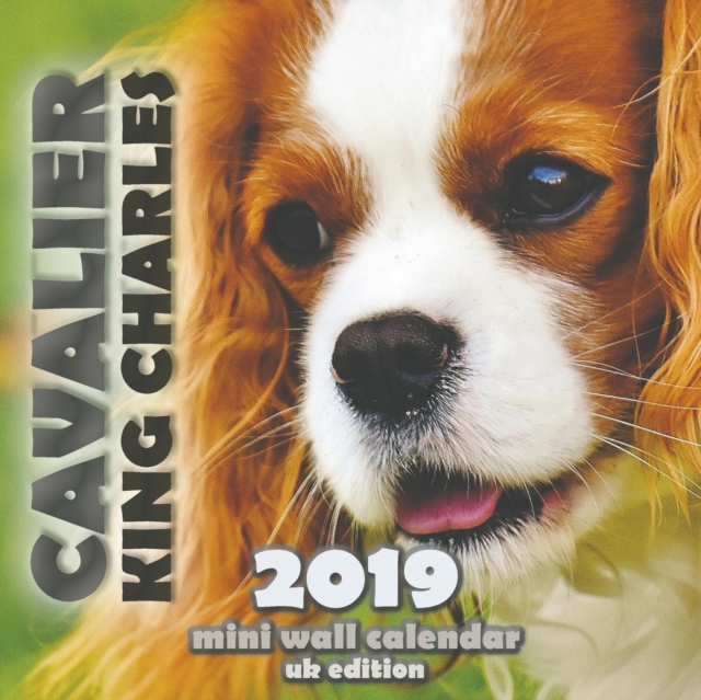 Cavalier King Charles 2019 Mini Wall Calendar (UK Edition), Paperback / softback Book