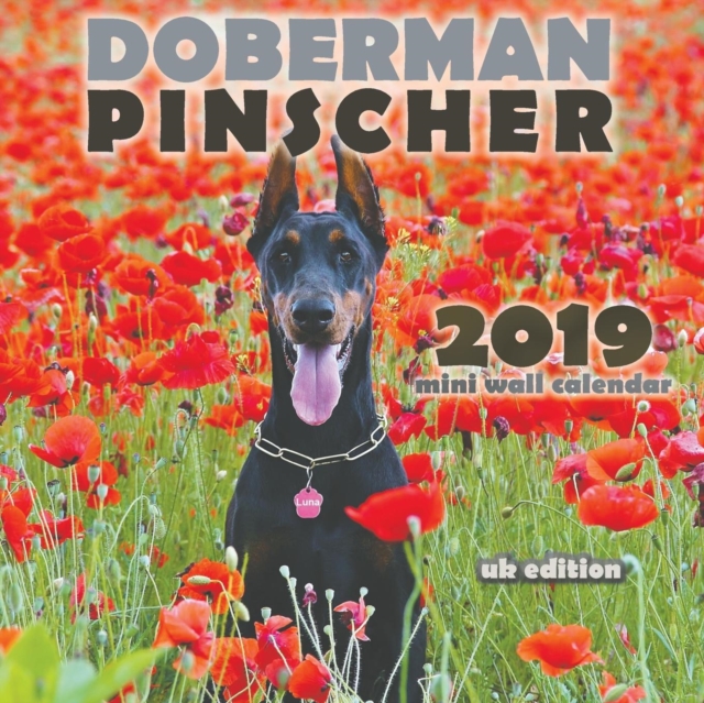 Doberman Pinscher 2019 Mini Wall Calendar (UK Edition), Paperback / softback Book